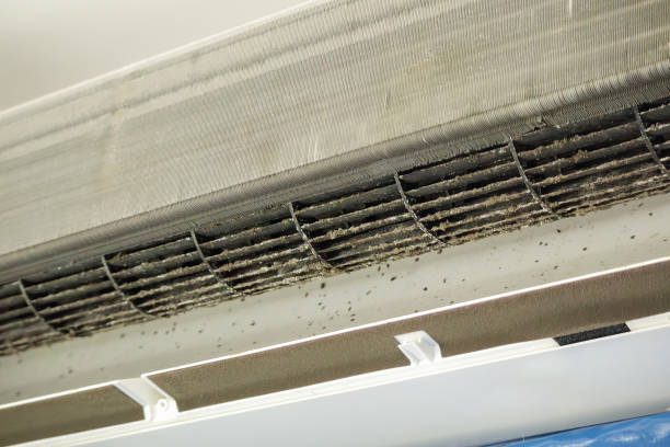 Best Affordable HVAC Duct Cleaning  in Desert Hills, AZ